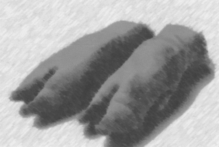 CIE LABKINE • Valeria Giuga & Anne-James Chaton // Zoo